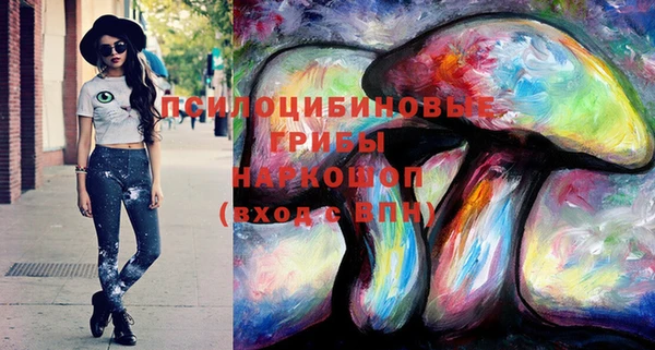 амф Белоозёрский