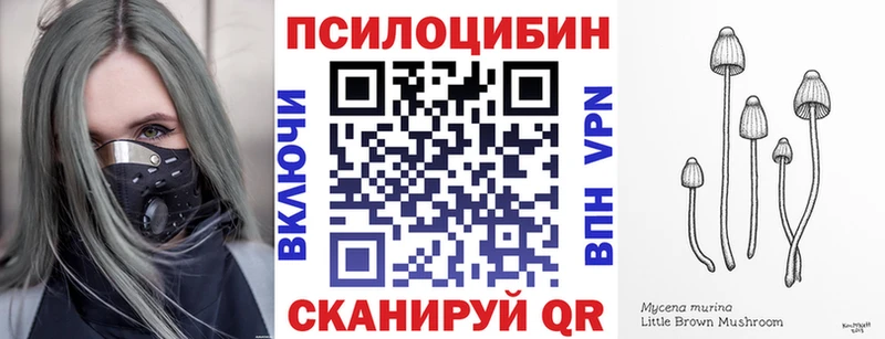 Псилоцибиновые грибы MAGIC MUSHROOMS  закладки  blacksprut   Удачный 